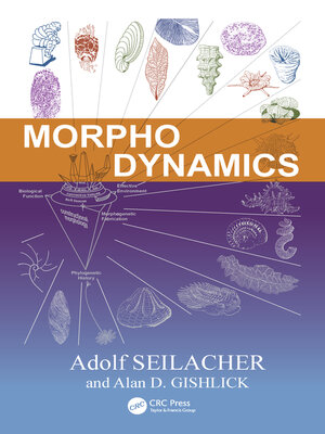 cover image of Morphodynamics